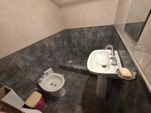 a bathroom with a sink and a toilet at La fragata estadias in San José