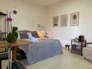 een slaapkamer met een bed en een tafel erin bij Pousada CTL Igarassu in Igarassu