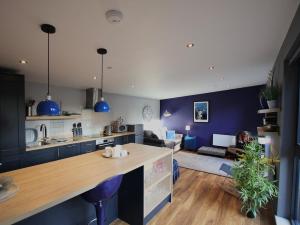 a kitchen and living room with blue walls at Narrowgate Castle Ocean Blue Lodge Central Alnwick Inc Sofa Bed in Alnwick