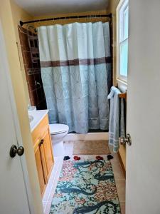 a bathroom with a shower with a toilet and a rug at Seagull`s Rest in Navarre +7 photos