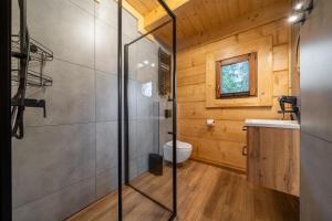 a bathroom with a shower and a toilet and a sink at Drewniane Zacisze in Biały Dunajec