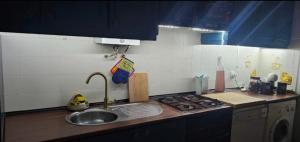 un bancone da cucina con lavello e fornello di O Cantinho da Avó ad Azeitao