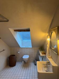 ein Bad mit einem Waschbecken und einem WC mit einem Dachfenster in der Unterkunft Lysbjerggård Bed & Break in Herning