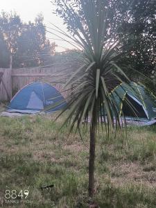Billede fra billedgalleriet på Camping Sadhu Argentina i Mar del Plata
