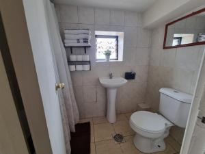 une salle de bain avec toilettes, lavabo et fenêtre dans l'établissement El Chalet del Gato, apartamento 3, à Viña del Mar 8 autres photos
