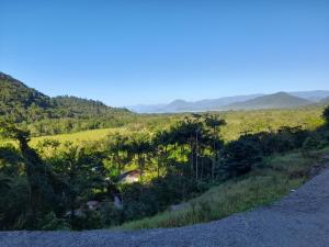 a dirt road next to a field with palm trees at Picinguaba Beleza Intocada in Ubatuba