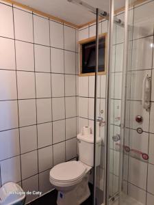 un bagno con wc e doccia di Refugio de Caty a Bahía Mansa Altre 34 foto