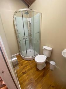 un bagno con wc e doccia in vetro di Casona Pretton a Valparaíso Altre 18 foto