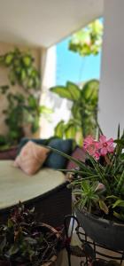 een woonkamer met potplanten en een bank bij Casa Ponta de Campina in Cabedelo