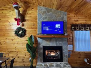 a living room with a fireplace and a tv at Hillside Hideaway Cabin in Blairsville