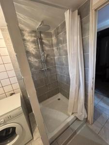 e bagno con doccia e tenda. di Rez de villa de 45 m2 Afa calme et fleuri ad Afa
