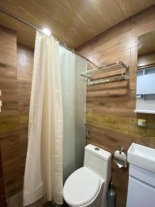 a bathroom with a toilet and a shower curtain at Nica's Palace Baguio in Baguio +53 photos