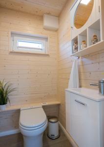 a tiny bathroom with a toilet and a sink at Ferienhaus auf dem Wasser - Hausboot Antje Frieda in Fehmarn