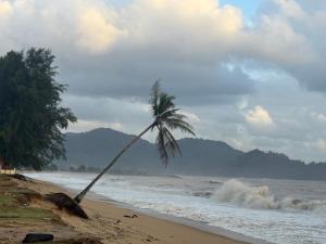 Příroda nedaleko prázdninového domu