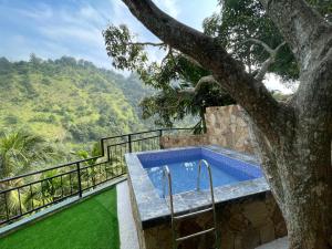 a swimming pool with a tree in the foreground at Wood Palace Ella in Ella