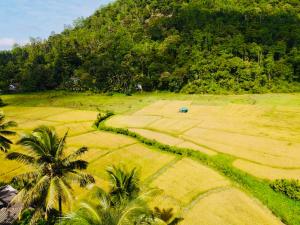 an aerial view of a field with palm trees at Villa Ransanda in Warakagoda
