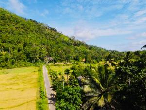 a road in the middle of a lush green mountain at Villa Ransanda in Warakagoda