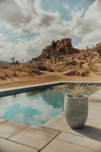 Příroda nedaleko vily