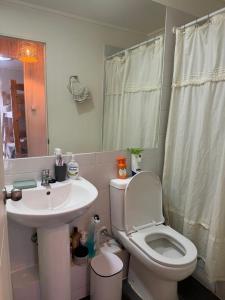 een badkamer met een wit toilet en een wastafel bij Horizonte Magico in Osorno