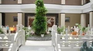 een trap met witte stoelen en een plant bij Dali Dayu Hotel in Dali