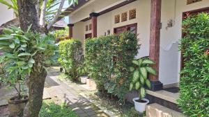 a house with trees and plants in front of it at Jepun Bali Homestay Sanur in Sanur