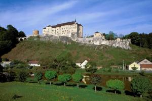 a large castle on top of a hill at Petrovický mlýn in Kasanice