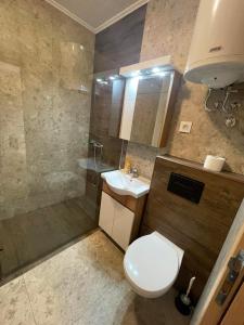 een badkamer met een toilet, een wastafel en een douche bij Prenoćište Vila Stara Breza in Palić +59 foto's