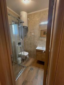 een badkamer met toilet en glazen douche bij Prenoćište Vila Stara Breza in Palić