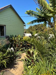 Billede fra billedgalleriet på Location l'îlot tropical i Le Bois de Nèfles