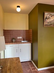 a kitchen with a sink and green walls at Le Petit Logis in Marcigny