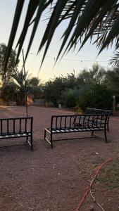 Зображення з фотогалереї помешкання مزرعة كين у місті Хаїль