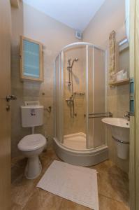 a bathroom with a shower and a toilet and a sink at Sobe Gora in Posedarje