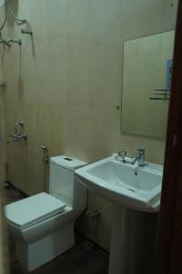 a bathroom with a toilet and a sink and a mirror at Salt Water Sanctuary in Diveagar +29 photos