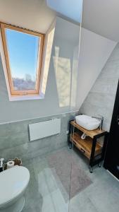 ein Badezimmer mit Toilette und Waschbecken und einem Fenster in der Unterkunft IezerVenture Cabins - Phuket in Şelari + 21 Fotos