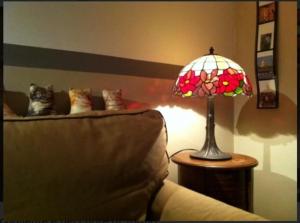 um gato sentado em um sofá ao lado de uma lâmpada em In the Heart of Turin em Turim mais 29 fotografias