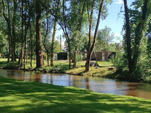 a river in a park with trees and grass at Gîte du Palais 3 étoiles in Châteauneuf-sur-Cher