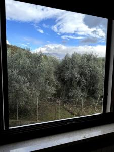 a window with a view of a field of trees at Bilocale di Charme in Baronissi