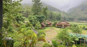 eine Gruppe von Hütten auf einem Feld mit Bäumen in der Unterkunft Peisanae Faikeng Resort in Ban Na Kham