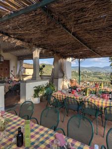 Cảnh núi rừng hoặc tầm nhìn ra núi từ the country house