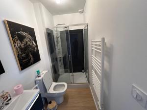 een badkamer met een toilet en een douche. bij Romantic Victorian guest room calm environment in Gragnague