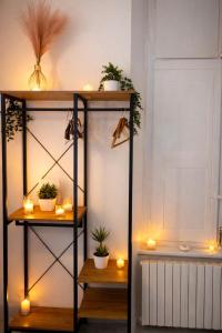a shelf with candles and potted plants on it at Nuvola Luxury suite con Idromassaggio Privato & Relax romantico in Turin