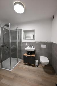 un bagno con doccia, WC e lavandino di Timos Ferienwohnung a Schmallenberg