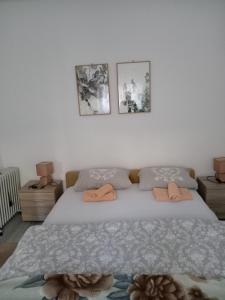 En eller flere senge i et værelse på Apartman Mira&Ahmet