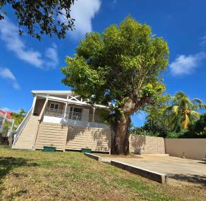 a house with a tree in front of it at Villa Le Manguier - Logement Marcus, Tout Confort in Goyave