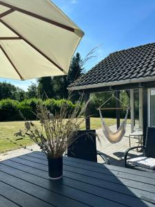 En have udenfor Danish Design House Near Møn's Best Beach