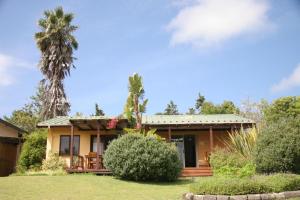 ein Haus mit einer Palme im Hof in der Unterkunft Hildesheim Guest Lodge in Wilderness