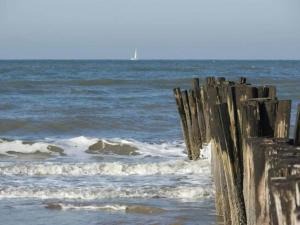 un vecchio palo di legno sulla spiaggia con l'oceano di Stunning apartment in Schoorl, North Hollandâ you can bike to the beach a Schoorl