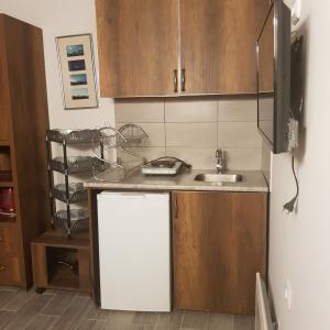 een kleine keuken met een spoelbak en een koelkast bij Ski Resort Bakuriani in Bakuriani