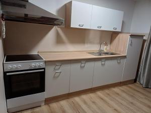 een keuken met witte kasten, een fornuis en een wastafel bij KaTi Hiša 