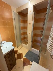 ein Badezimmer mit Dusche und Waschbecken in der Unterkunft KAJA Zawoja in Zawoja